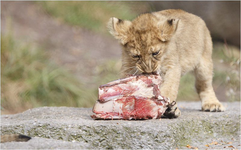  obwohl es gar nicht so einfach ist da ran zu ziehen