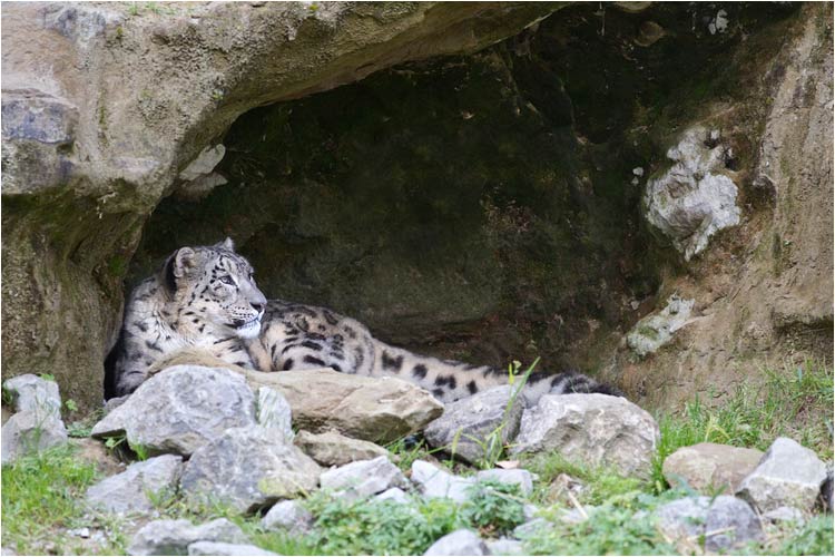 Die kleine Höhle ist ein Lieblingsplatz von Villy