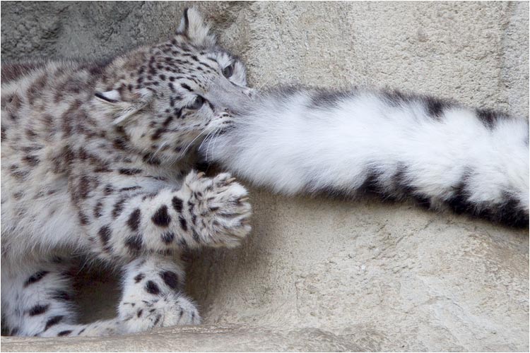 Jetzt lass ich dich nicht mehr los