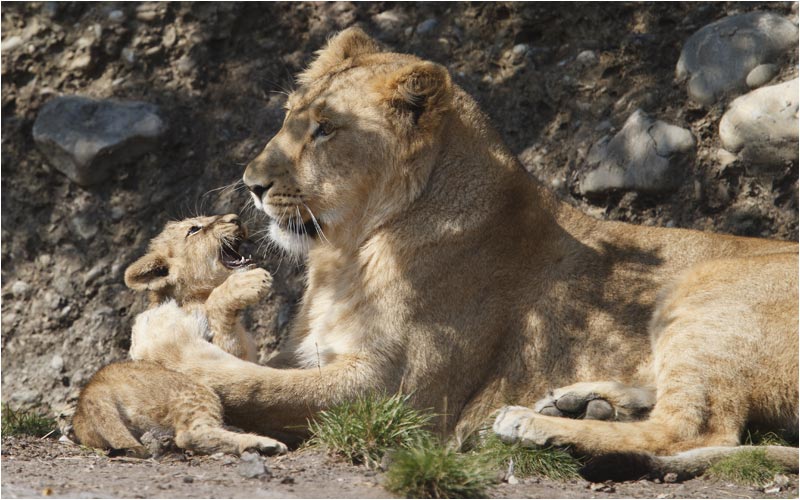 Kleine Schwester weist sich bei der grosse Schwester zu wehren