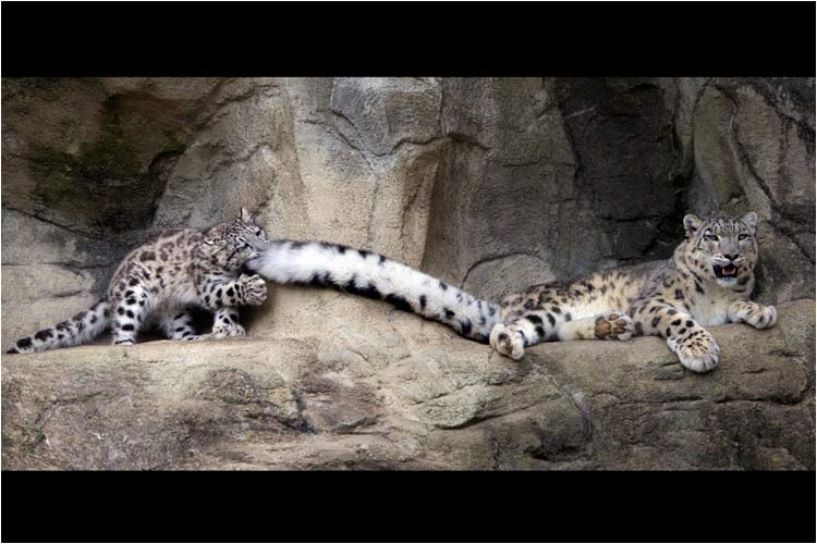 Egal wie lang du bist