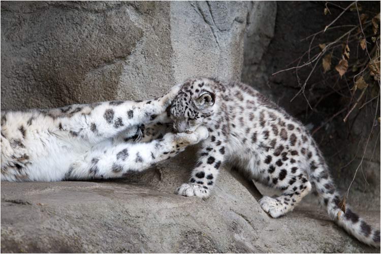 Schon gut Mami, du kannst mich wieder los lassen