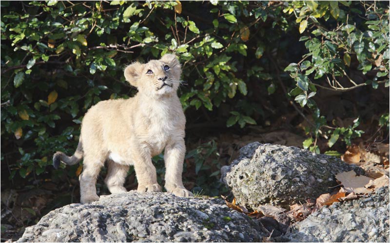 ...auch von hier wird es nicht gehen