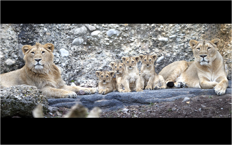 Nicht bewegen, Familienfoto