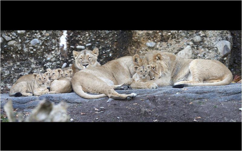 Pause im Familienkreis