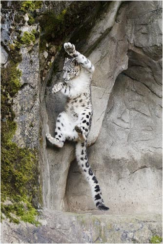 Die ganze Szene ist innerhalbe...