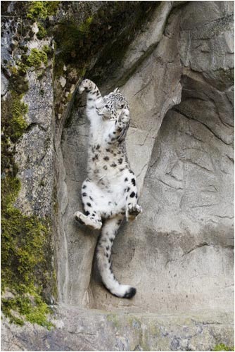  von eine halbe Sekunde abgelaufen!