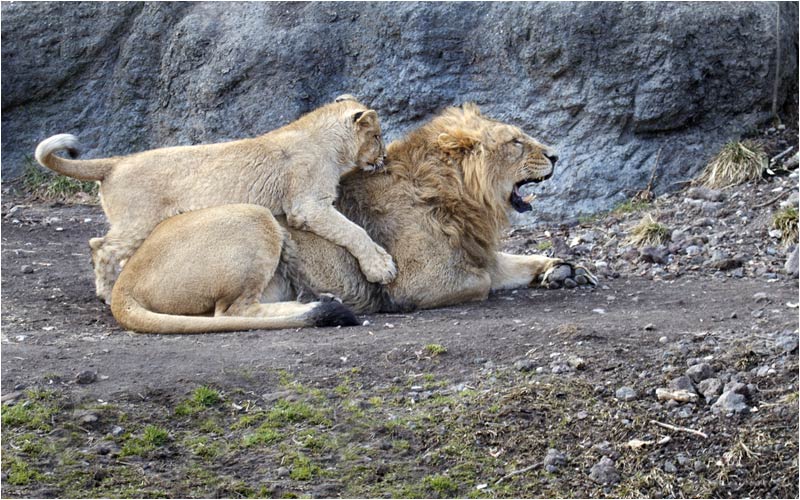 Achtung Angriff von hinten