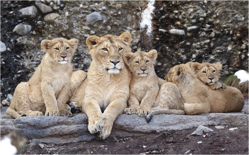 So wieder mal Zeit für ein Familienfoto