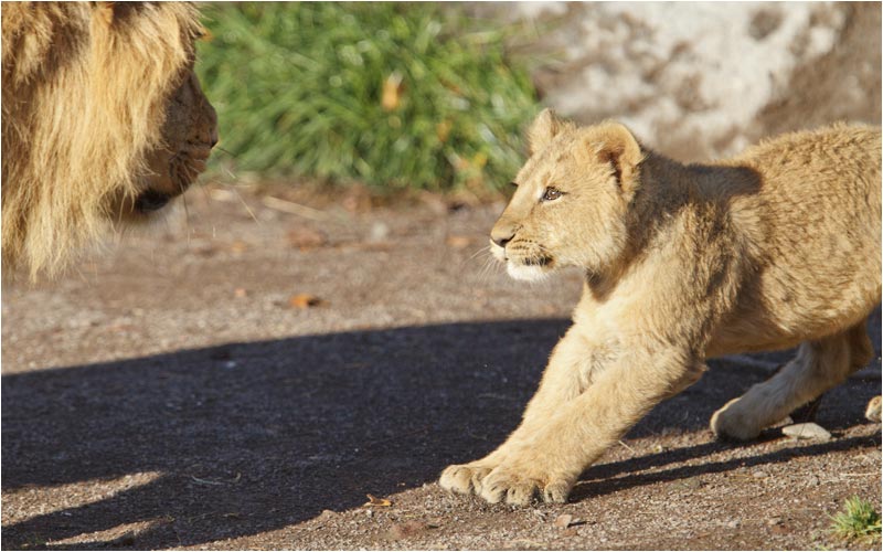 ...Oder doch nicht...