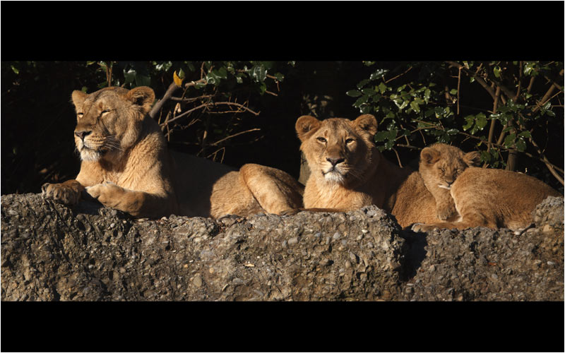 Die Sonne geniessen so lang es noch geht in diesem kalte November