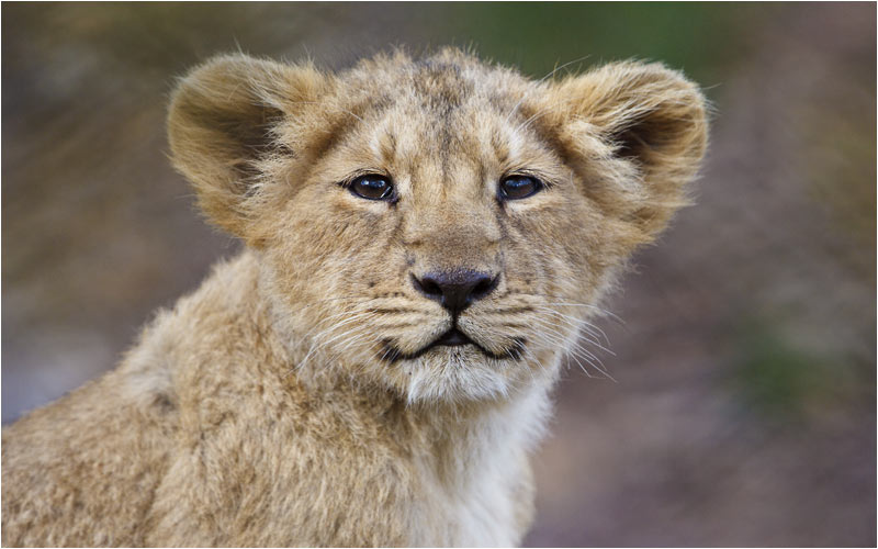 Ich kann normal sein