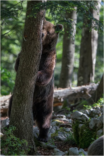 Aufzustehen lohnt sich, das ist so lecker...