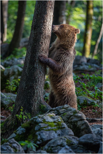 Mmmmm, das hier ist auch lecker