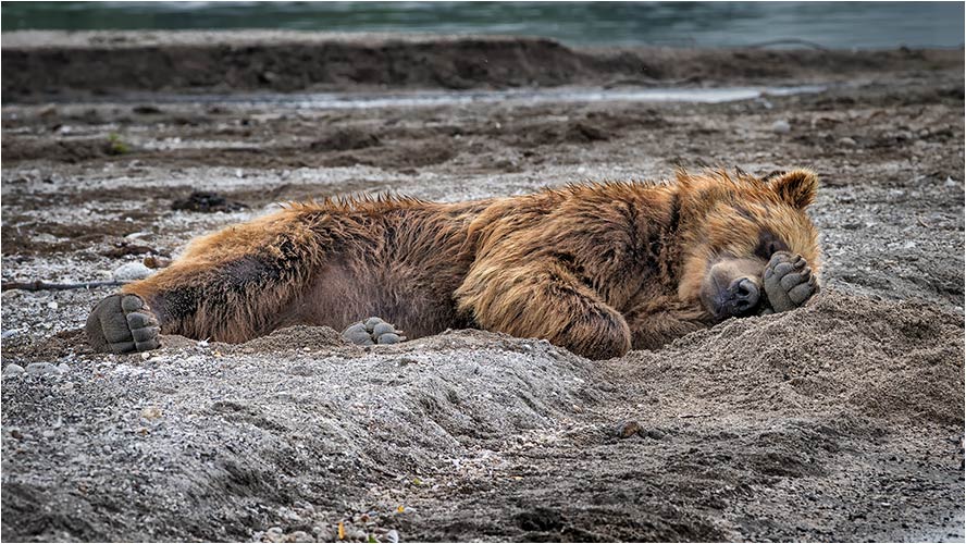 Es ist noch zu früh zum aufstehen