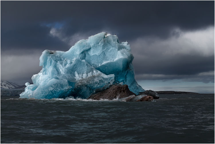 Blaues Eis und Vögel