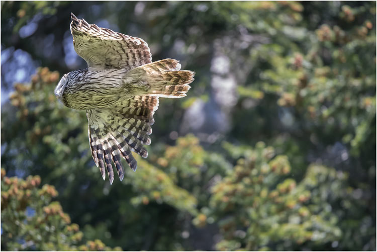 Jetzt ist eine kleine Tour angesagt