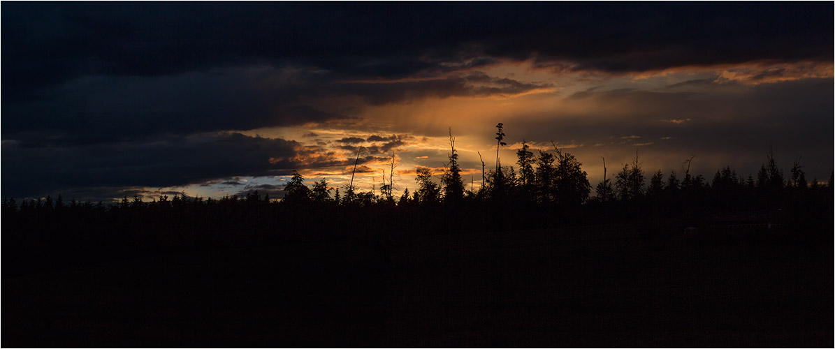 MAI - Dramatische Stimmung am Pfannenstiel/ Zürcher Oberland