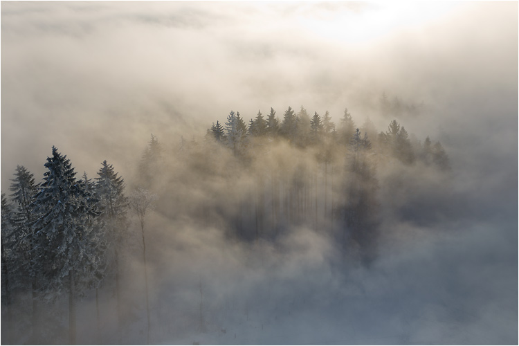 Unrealen Wald, Aufnahme  aus dem Bachtelturm