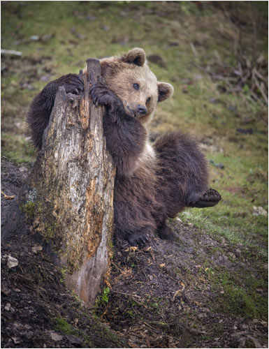 Morgengymnastik ist gut für die Gesundheit.