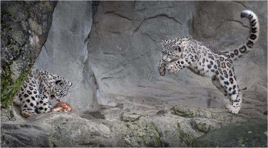 Ein Angriff kann jeder Zeit stattfinden