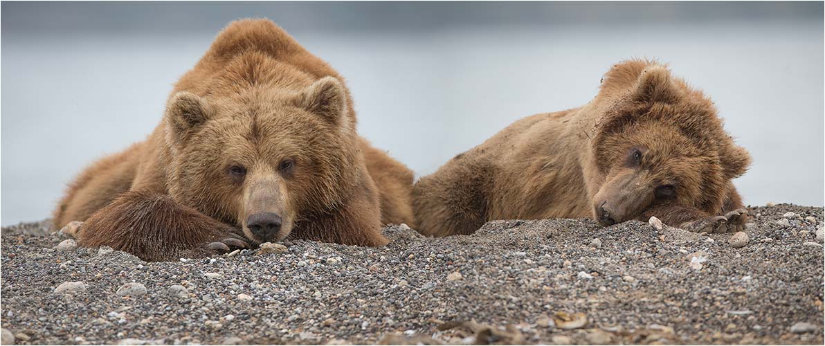 Es  ist noch zu früh zum aufstehen