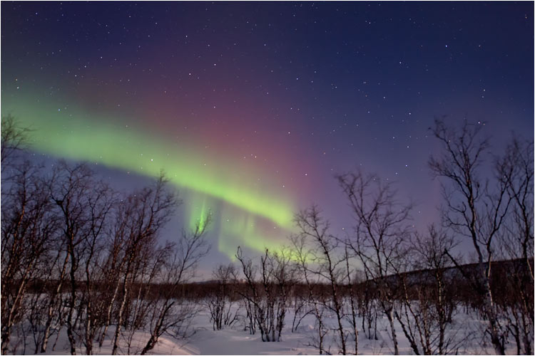 Der brennende Baum, irgendwo in Finnland