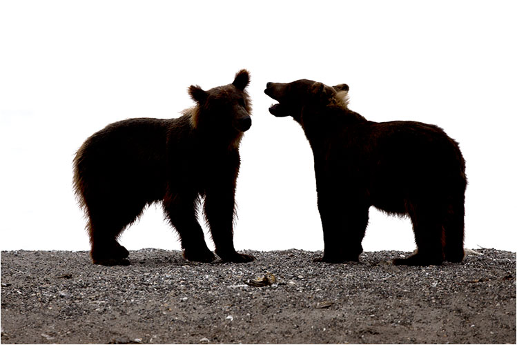 Komm her, ich habe dir was zu sagen