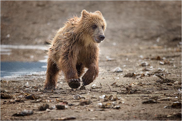 Nichts wie weg von hier