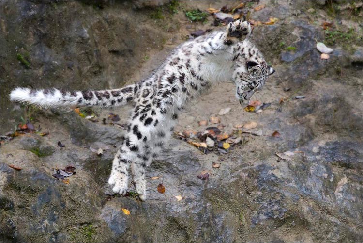 Ich übe mich in Fliegen