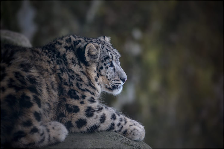 Okara beobachtet die Mutter Dshamilja