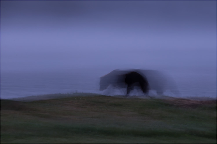 Bärengeist in den frühen Morgenstunden