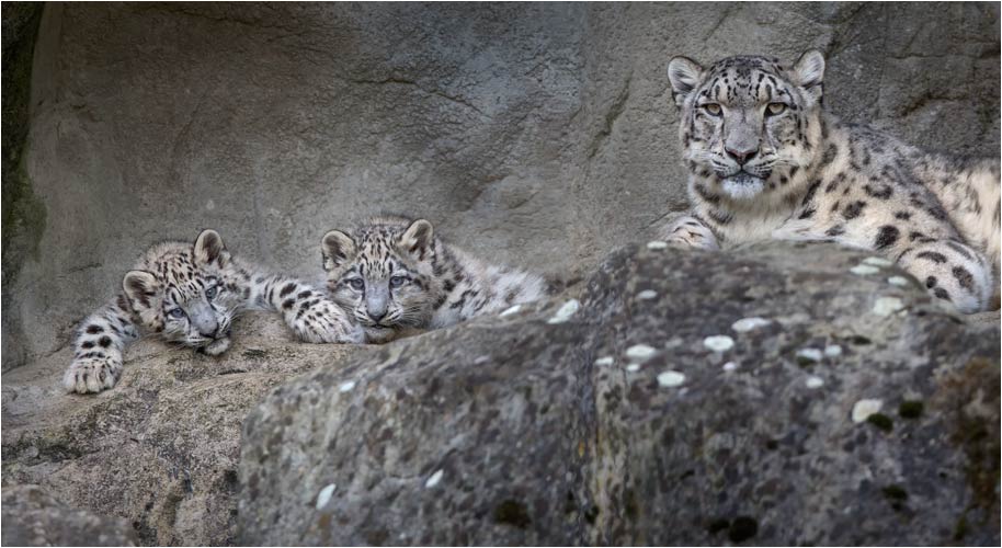 Orya, Okara und Mutter Dshamilja