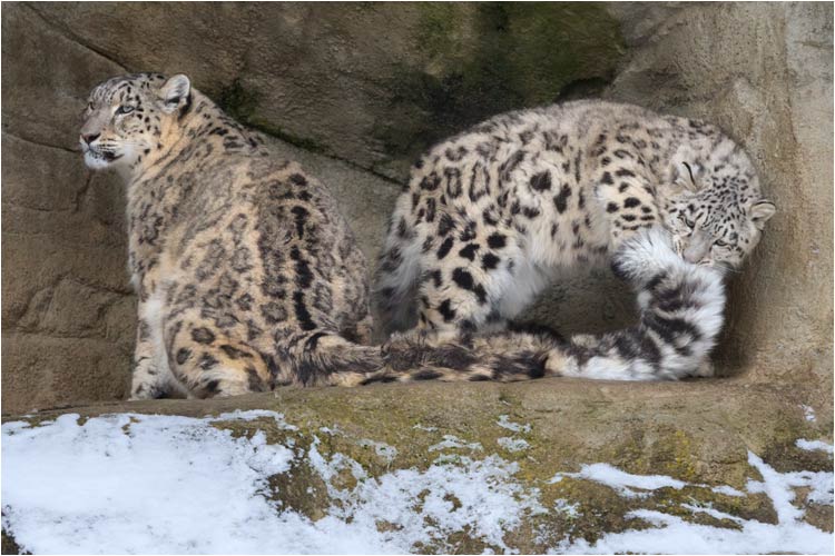 Du kannst schon beissen, ich spüre nichts