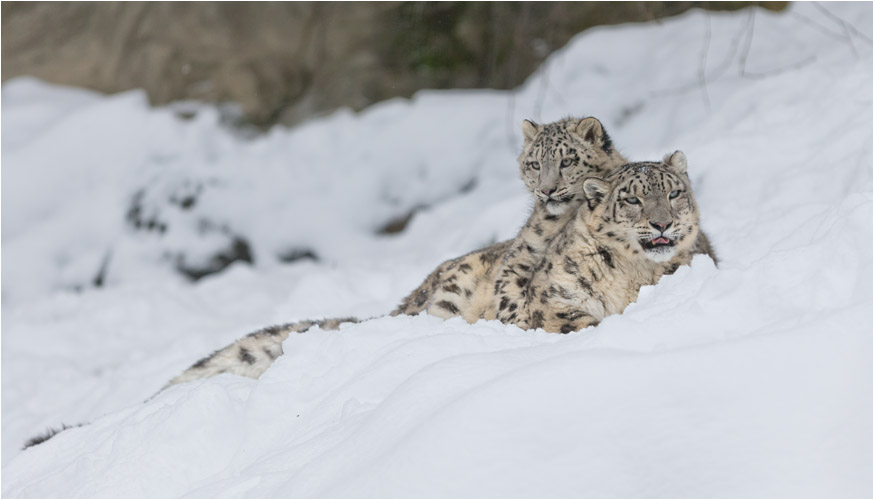 ...dann wieder die Versöhnung