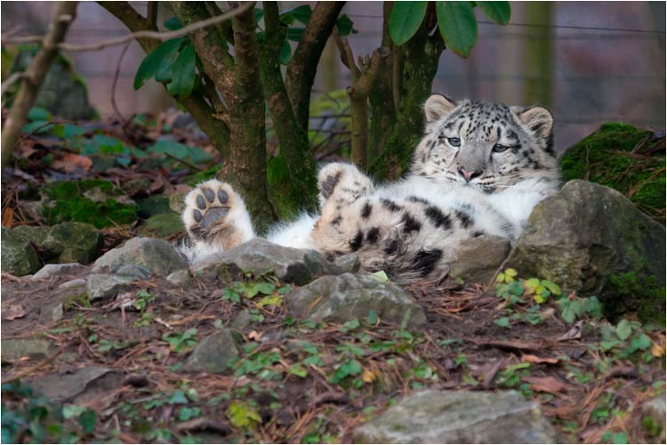 Das mache ich sehr gern: Entspannen und Beobachten