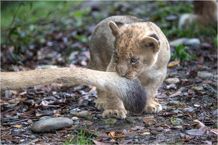 Dich lasse ich nicht so schnell los!