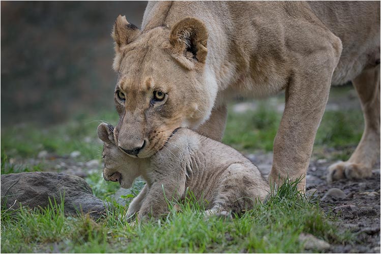 Jetzt schon ins Bett zu gehen ist nicht cool :-(