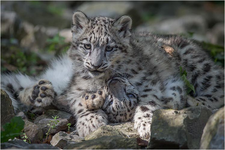 Hilfe, ich brauche Luft!