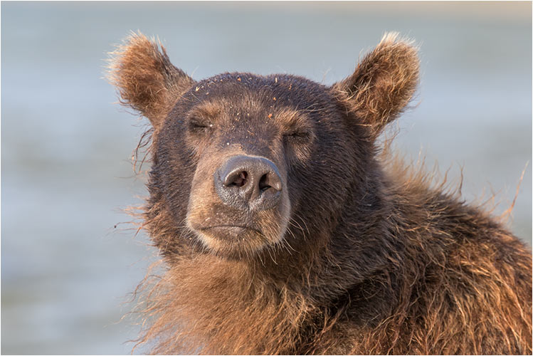 Wie angenehm die warme Sonnenstrahlen