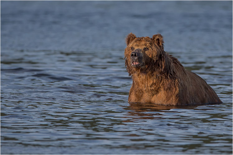 Nichts Besseres als ein frisches Bad abends