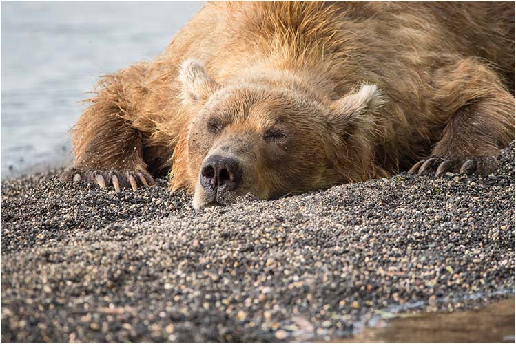 Es ist noch zu früh zum aufstehen