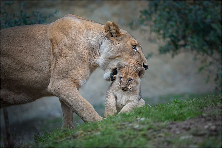 Der Kleine ahnt nicht dass es jetzt Schluss ist mit spielen 