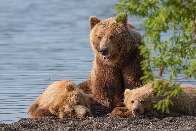 Mutter mit ihren Jungs