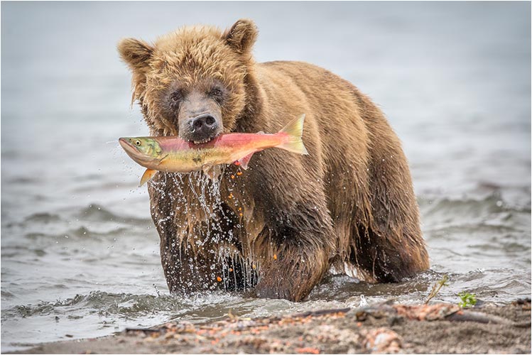 Das Frühstück ist gesichert