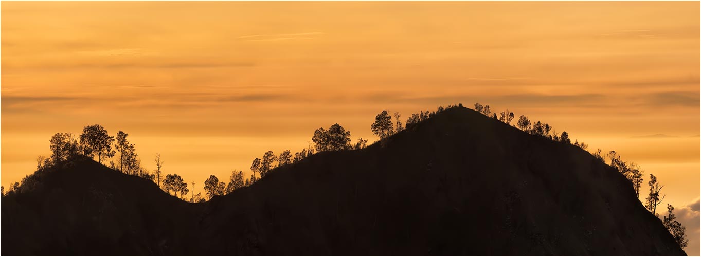 Goldige Morgenstunde auf der Mt Bromo Ebene/ Java