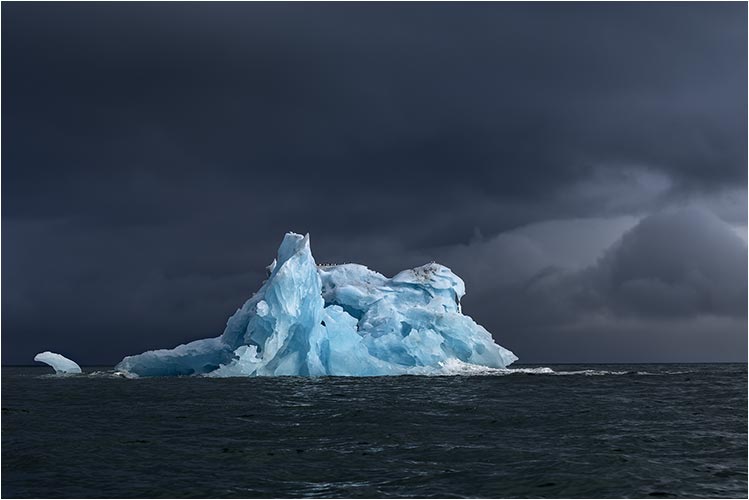 Krabbentaucher ruhen sich auf der Eisschollen aus