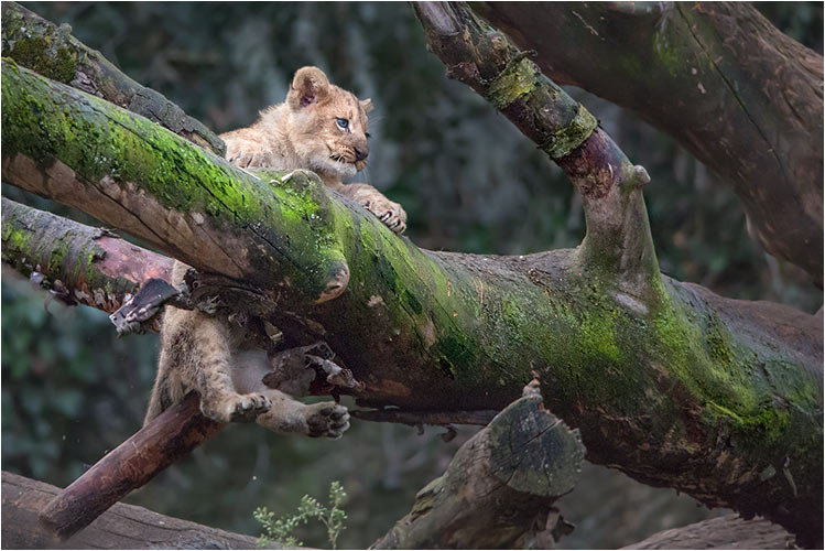 Hilfe, ich komme hier nicht hoch