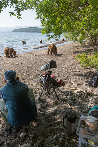 Die Jungbären zeigen Neugier