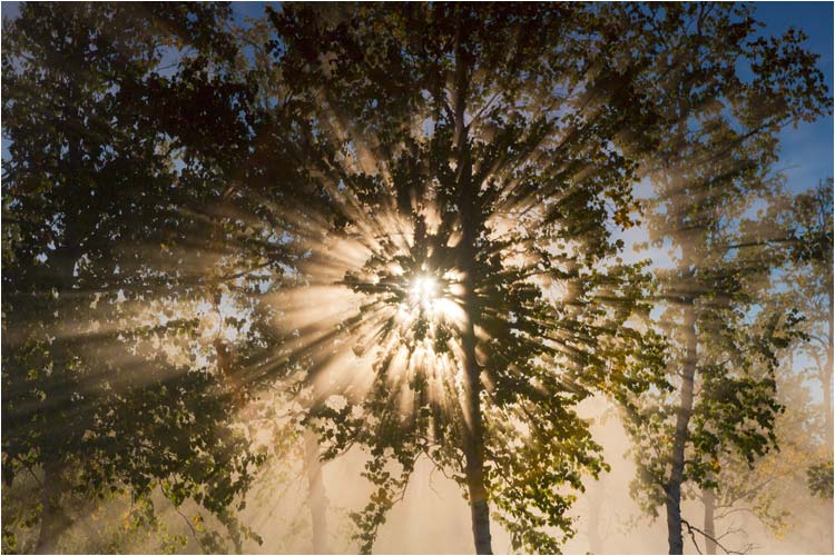 Kalte Temperatur + Dampf vom Thermalwasser und Gegenlicht